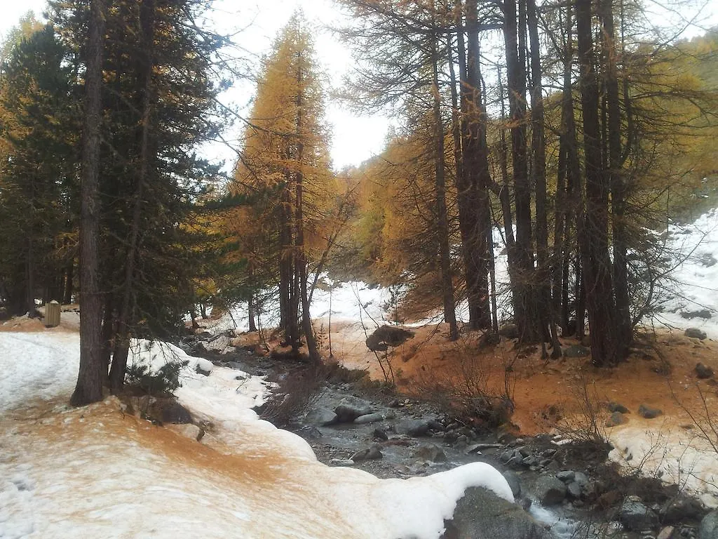 Apartment Chalet Rin Da Pemont Livigno